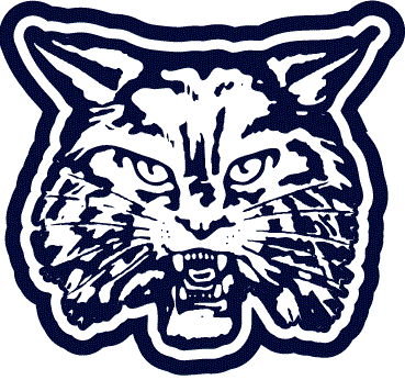 JGHS Pom Pon and Cheer Tryouts