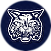 Small_1525280371-bobcat2__1_