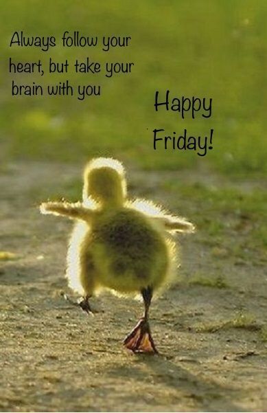 Fri